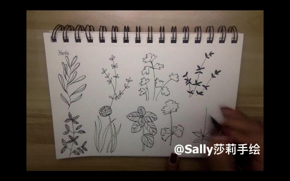 【涂鸦简笔画】草本植物练习签字笔一支+速写纸一张哔哩哔哩bilibili