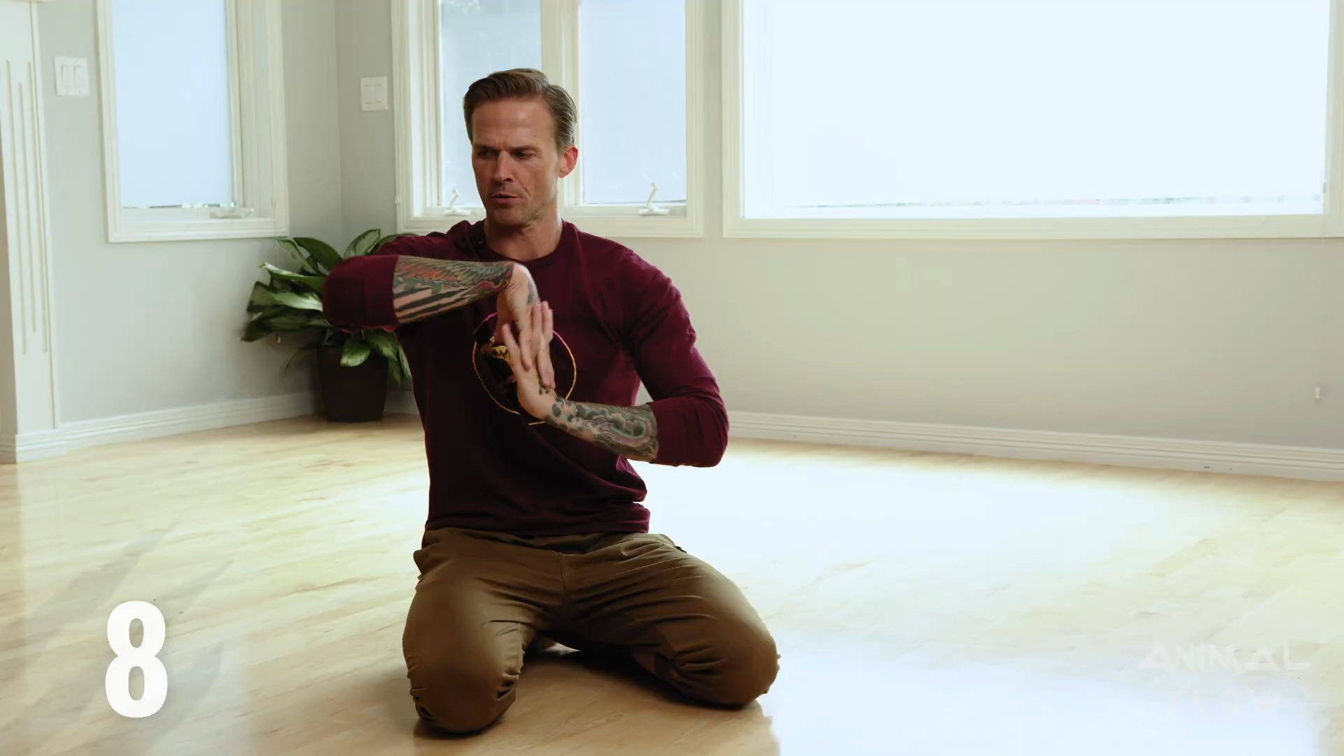 【动物流】animal flow tutorial wrist mobilizations