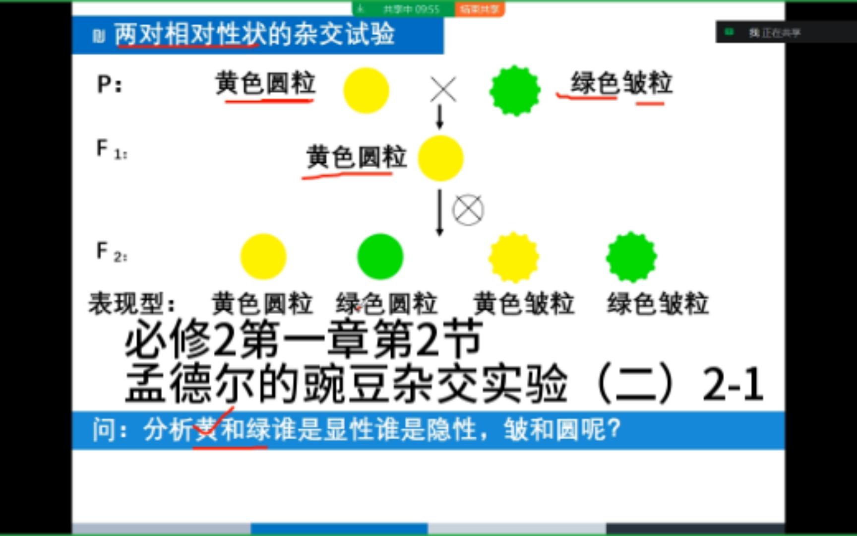 [图]必修2第一章第2节 孟德尔的豌豆杂交实验（二）2-1