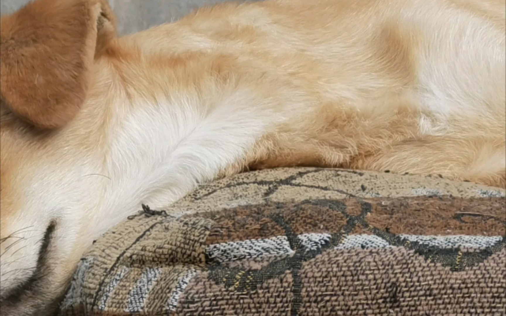 作的出奇,红薯括皮