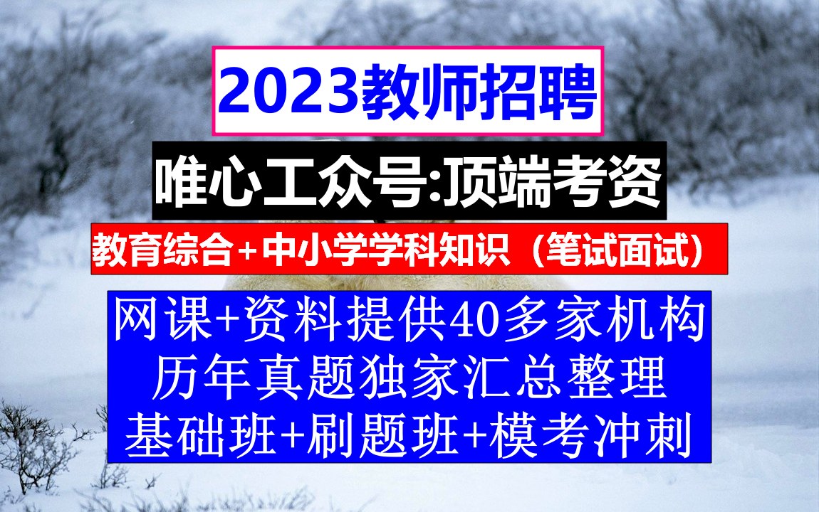 教师招聘公共基础知识,教师编制一考几次,教师公招考试哔哩哔哩bilibili