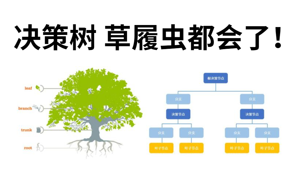 决策树零基础入门教程,手把手教你学决策树!草履虫都能搞懂!哔哩哔哩bilibili