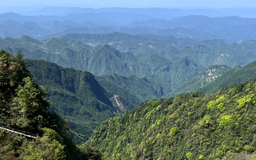 巴山大峡谷罗盘顶2480米