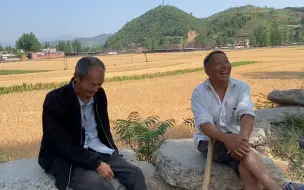 Télécharger la video: 山村大叔发现怪现象：以前人穷都能说来媳妇，现在一村几十个光棍