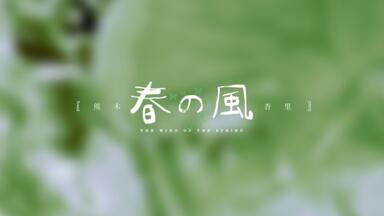 風のハルカ-哔哩哔哩_Bilibili