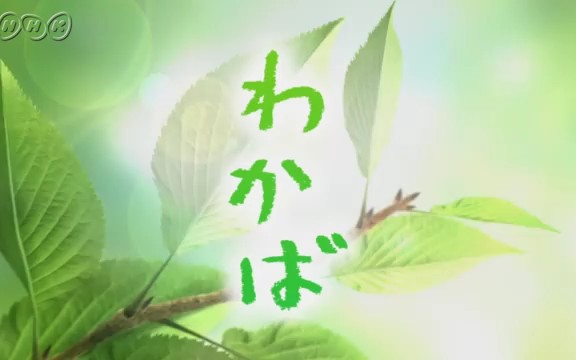 【NHK晨间剧】2004年10月期《若叶》(原田夏希)片头、片段 晨间剧第71作哔哩哔哩bilibili