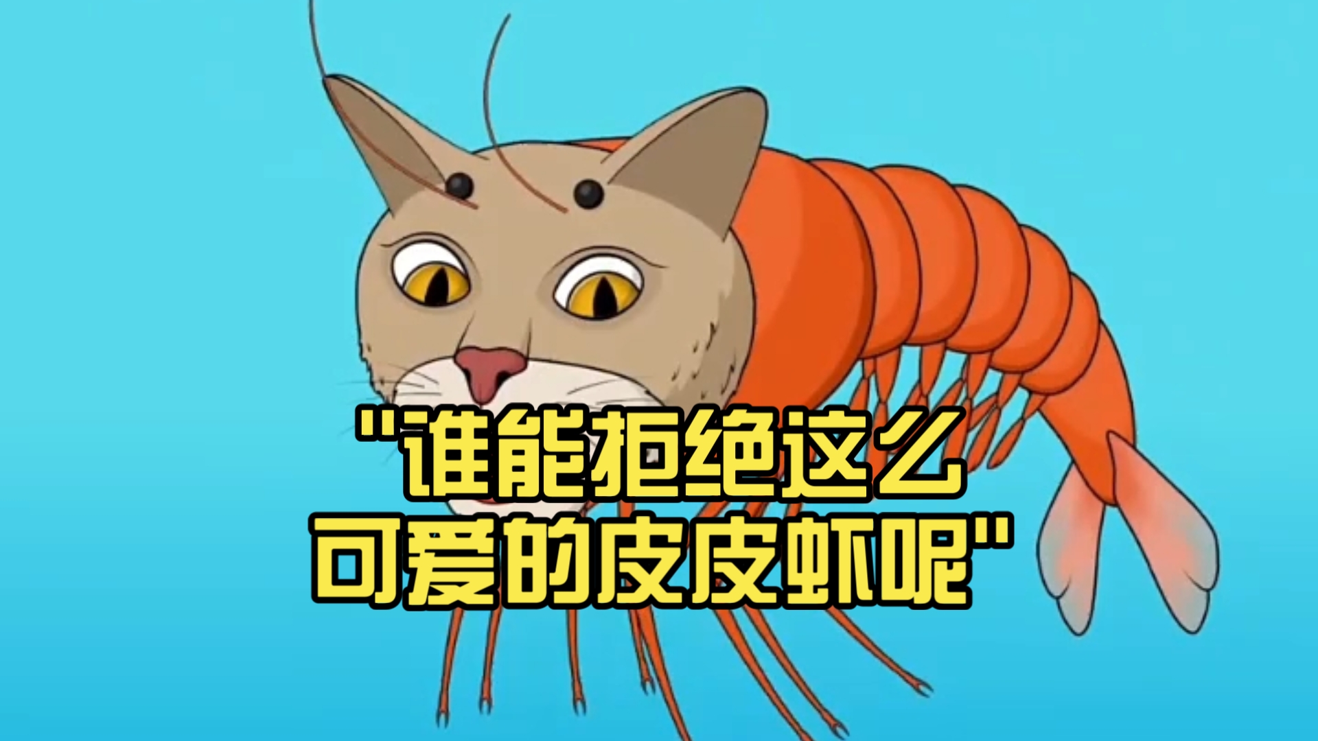 谁能拒绝这么可爱的皮皮虾呢