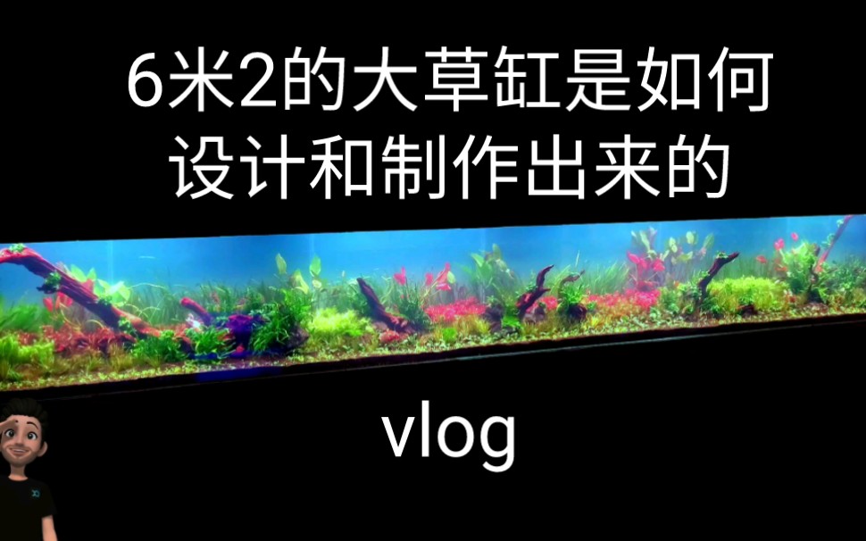 为海洋馆做一口6米的大草缸全过程哔哩哔哩bilibili