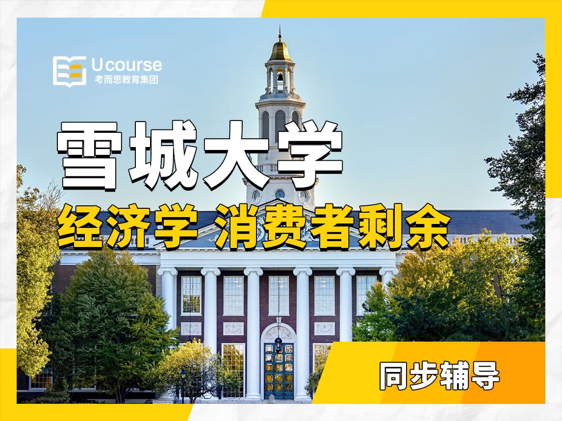 美国雪城大学大三经济学同步辅导——consumer surplus 消费者剩余:一