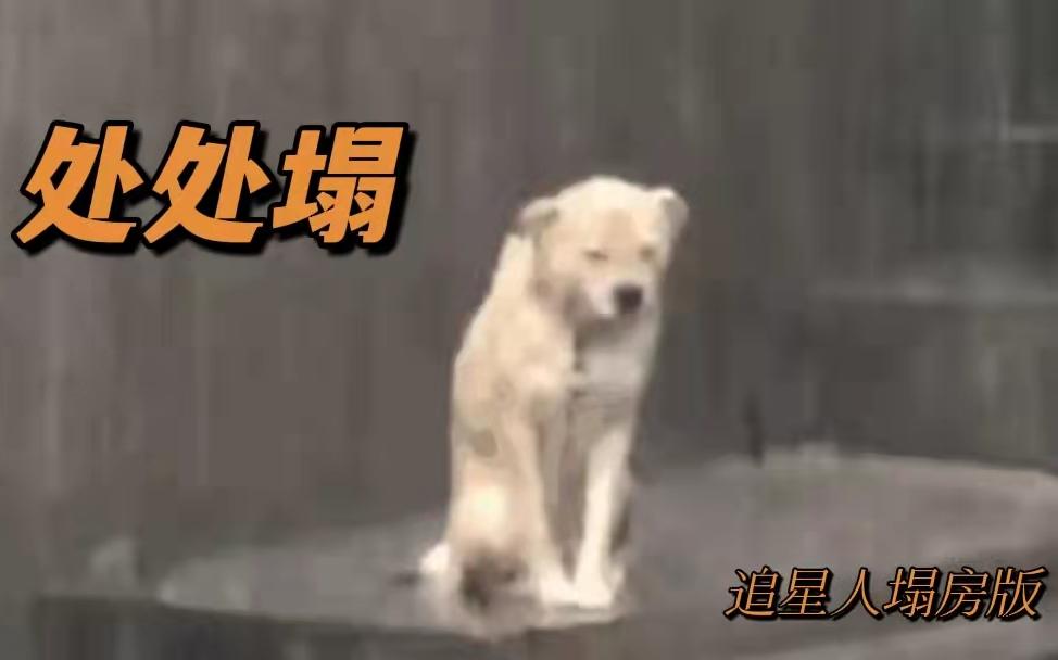 处处塌追星人塌房版塌房人的痛谁懂
