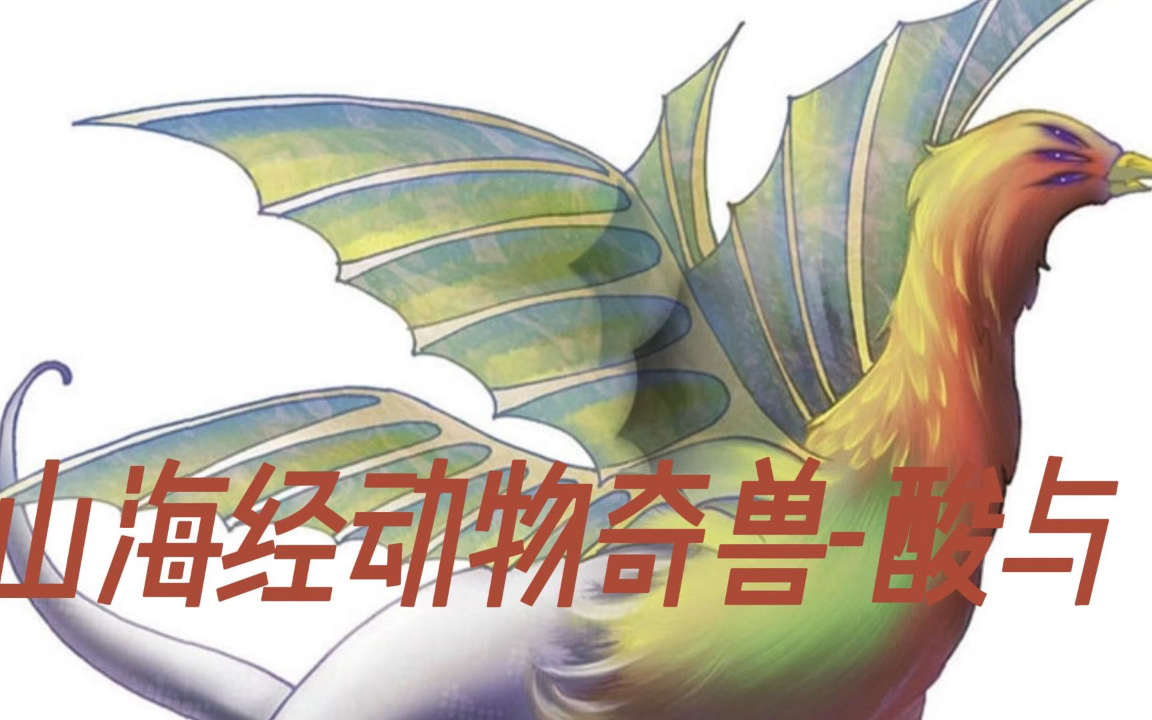 山海经动物奇兽_酸与