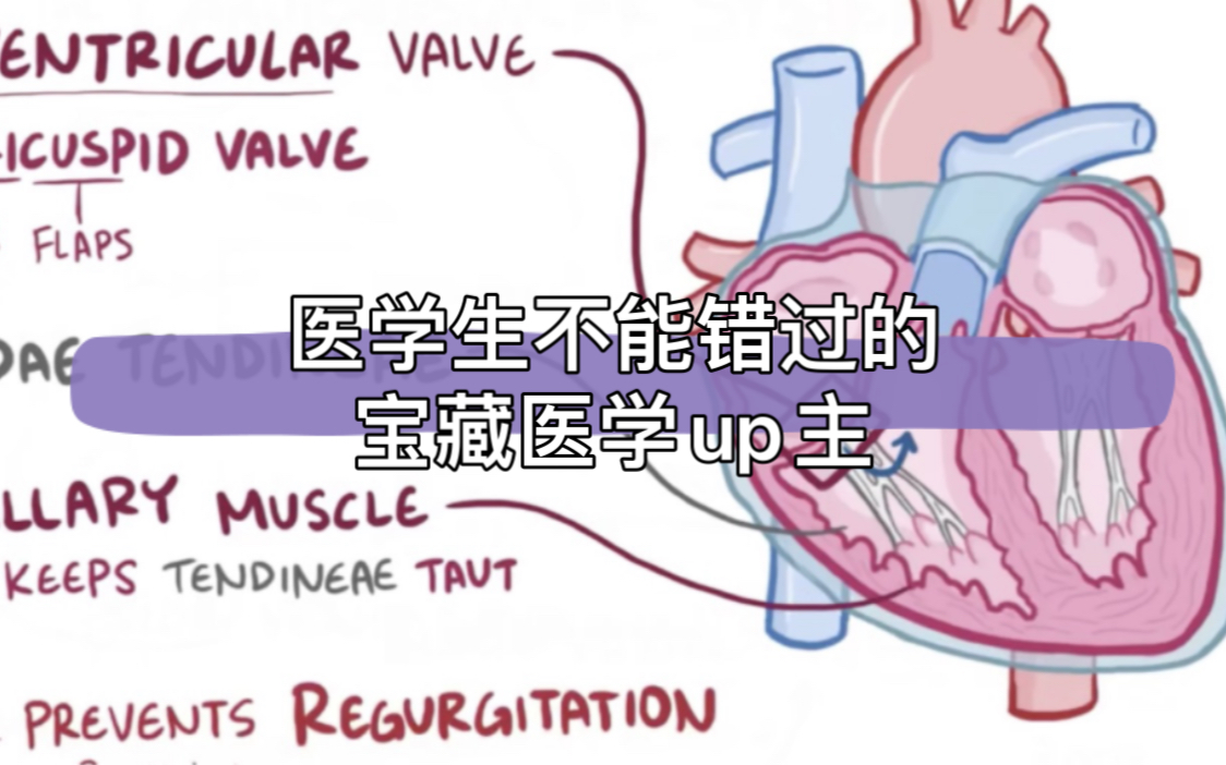 [图]医学生不能错过的宝藏教学UP主