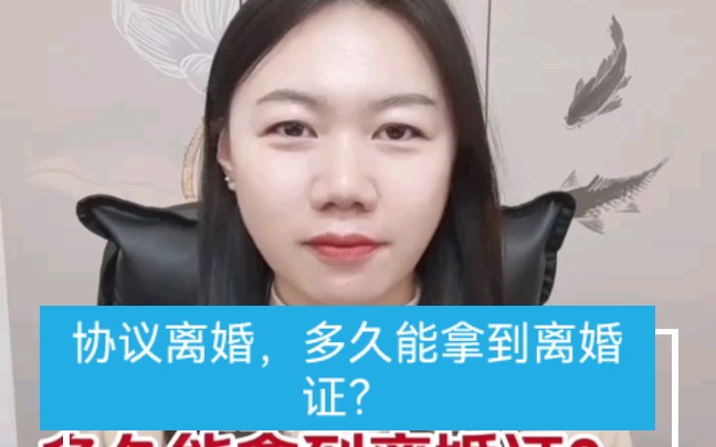 协议离婚,多久能拿到离婚证?哔哩哔哩bilibili