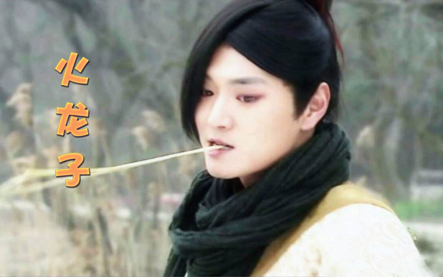 【赵鸿飞】【火龙子】【得罪造型师系列一】