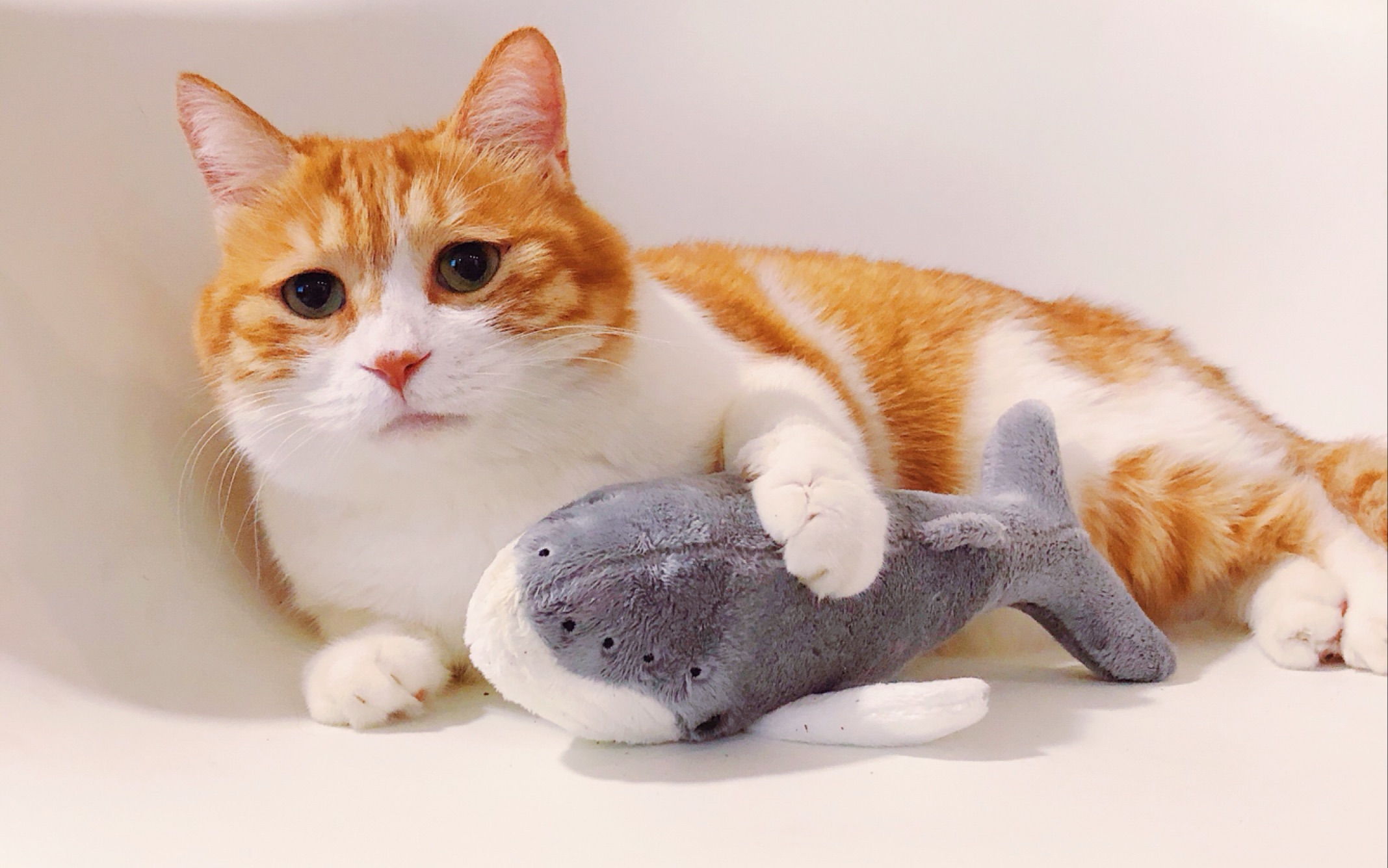 03 摸鱼记录656524( ˊ53ˋ )296666_哔哩哔哩 (゜