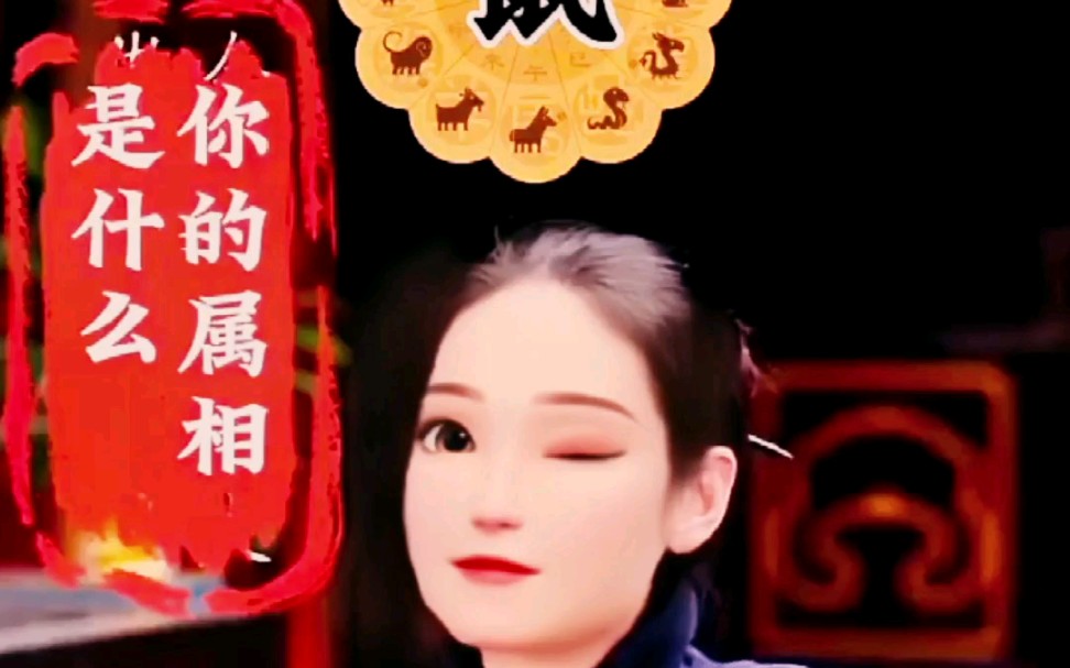 九运最旺的生肖有你吗?哔哩哔哩bilibili