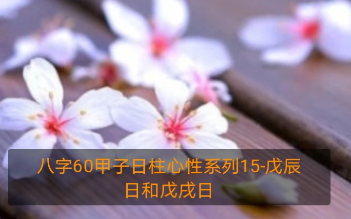 八字60甲子日柱心性系列15戊辰日和戊戌日哔哩哔哩bilibili