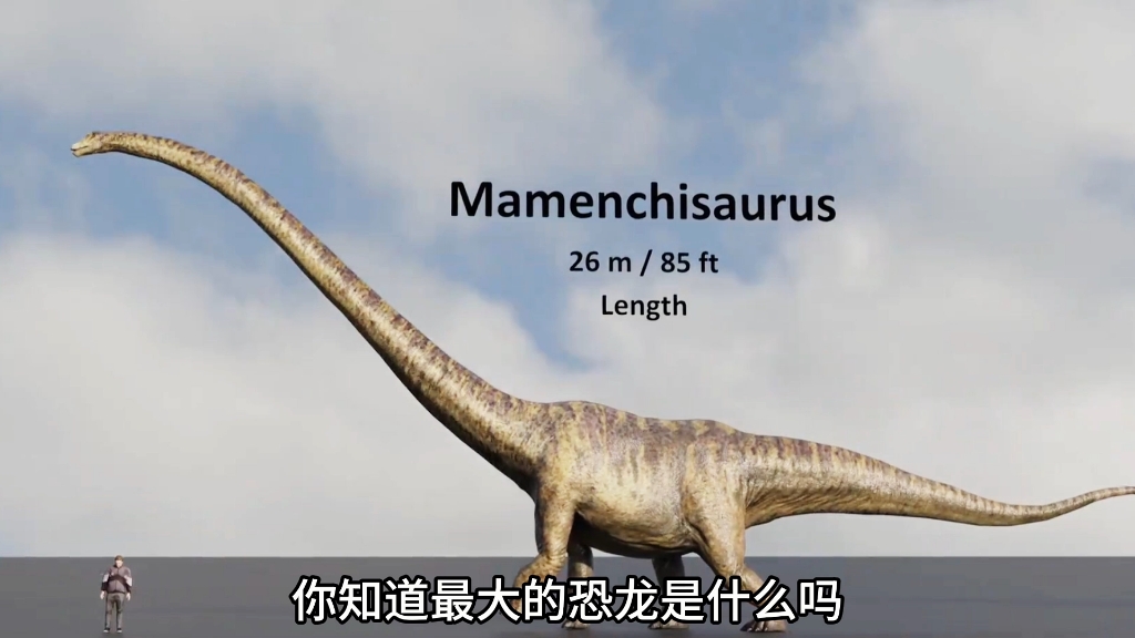 你知道最大的恐龙是什么吗?最后一个你肯定没见过!