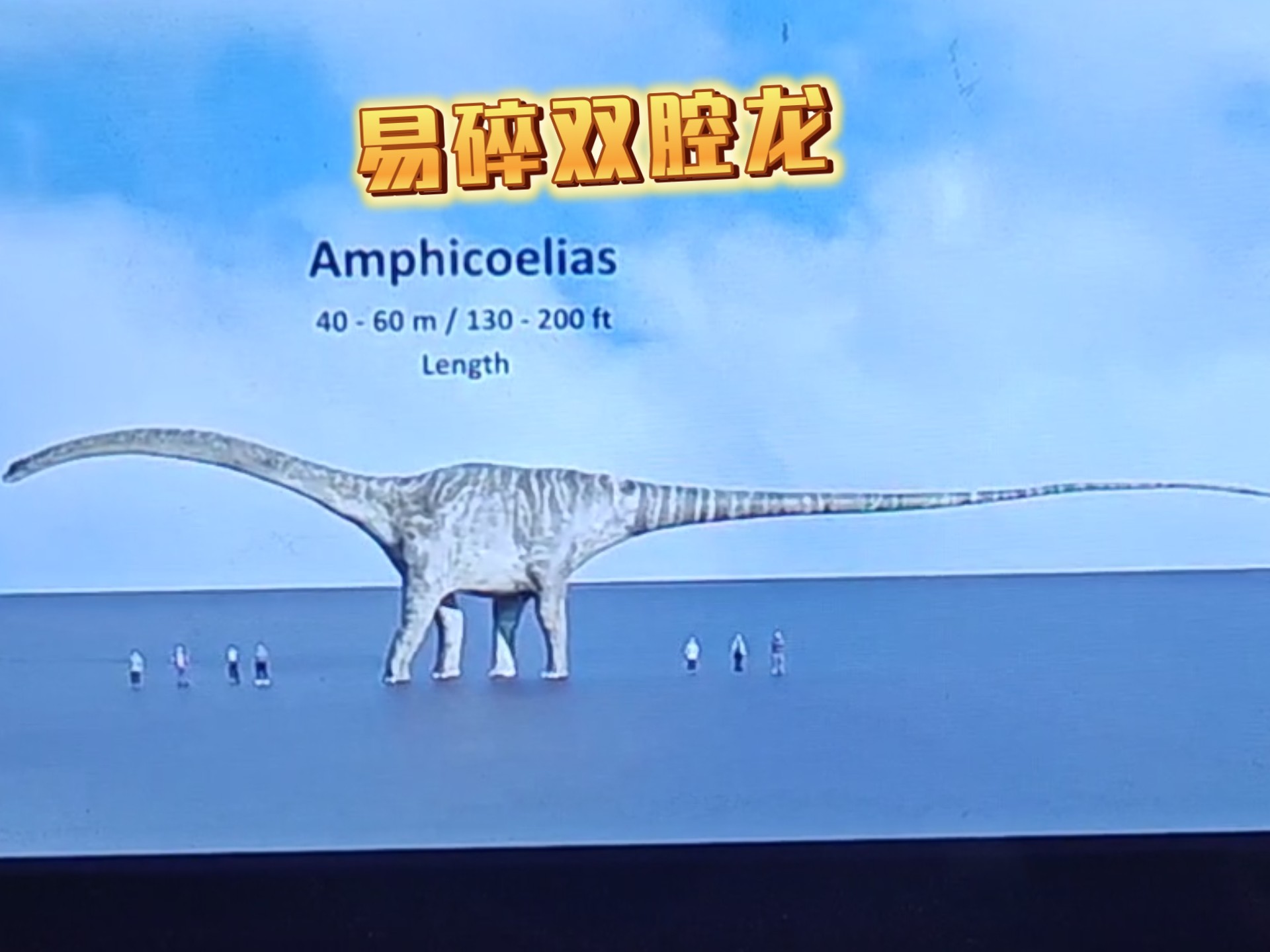 最新恐龙大小对比7