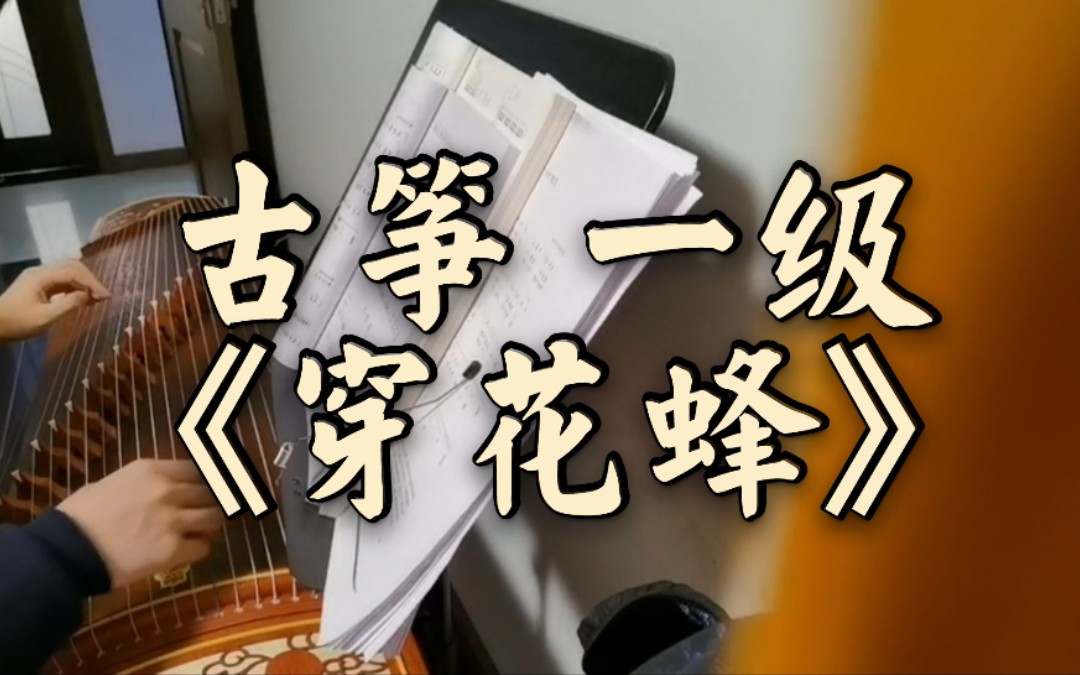 【学古筝日记#3】古筝一级曲目《穿花蜂》练习_哔哩哔哩 (゜-゜)つロ