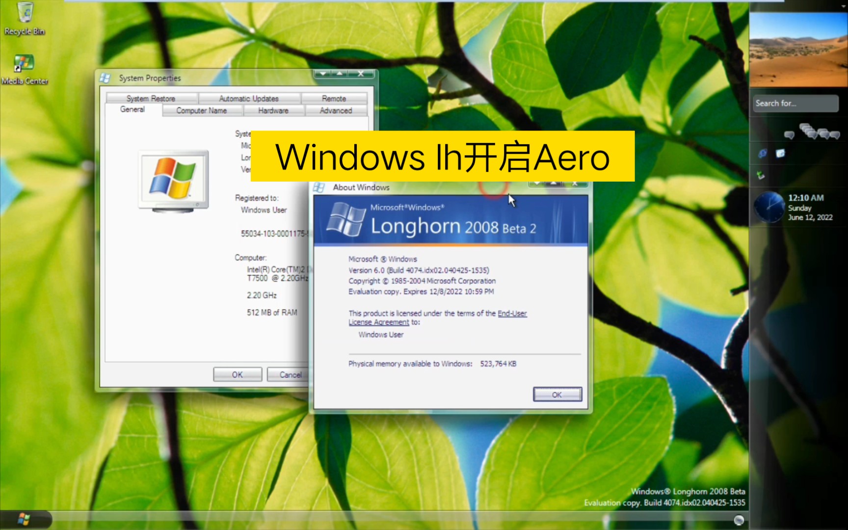 [教程]开启windows longhorn4074的 aero副资源链接