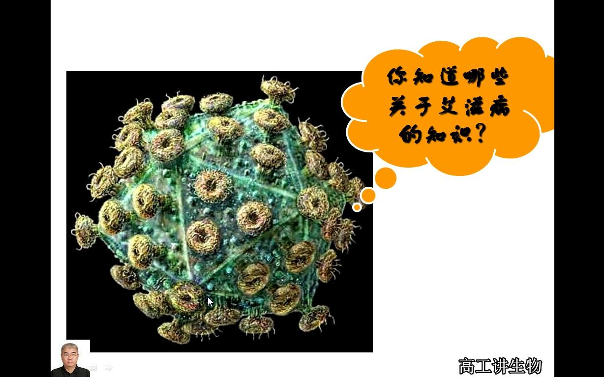 高工讲生物八年级初二生物上册第五章病毒