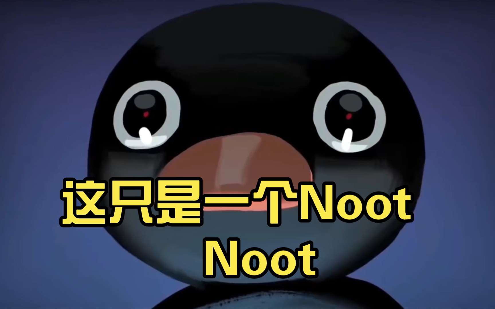 这只是一个noot noot