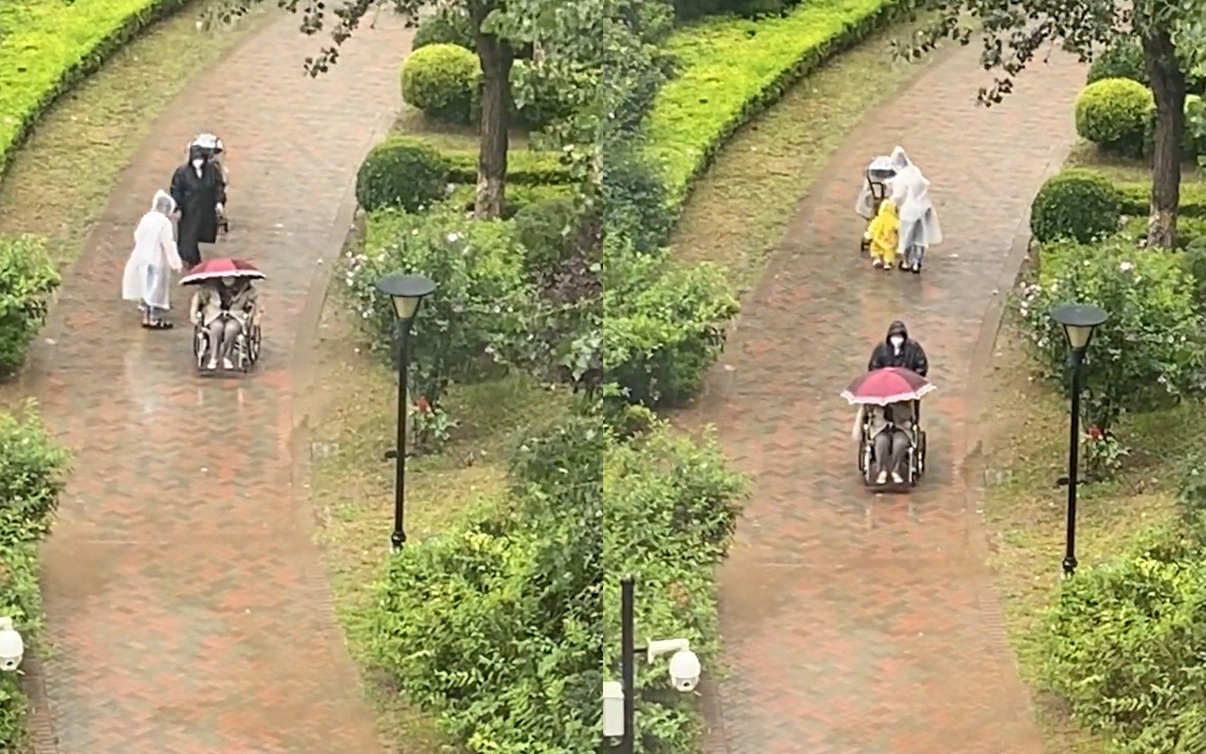 [图]暖心！轮椅女孩雨天打伞外出艰难前行，好心人举动让人破防