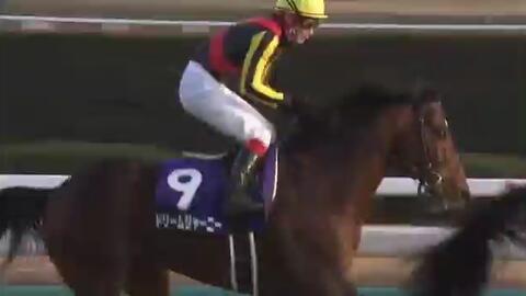 有馬記念 哔哩哔哩 Bilibili