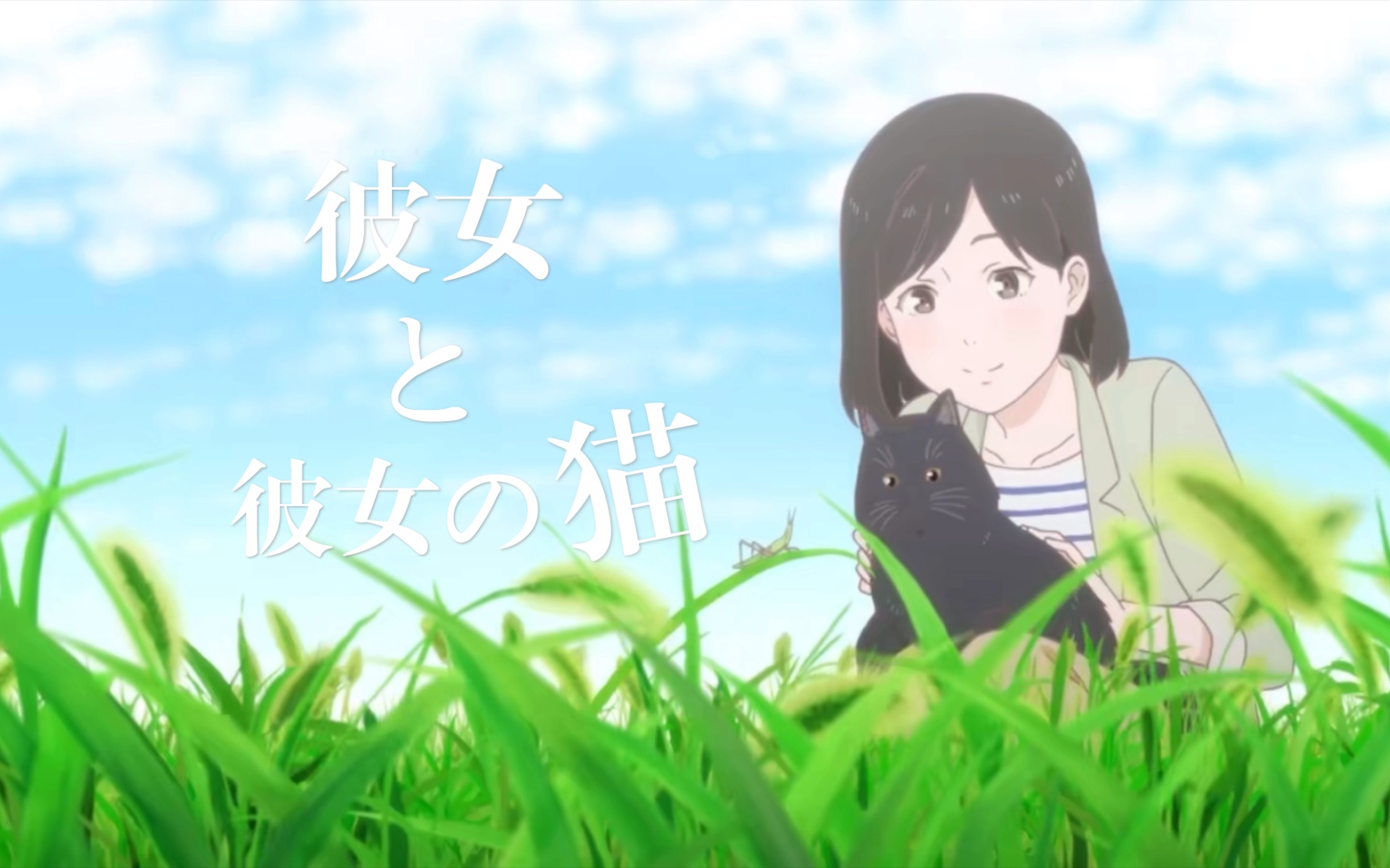 日语配音  | 新海诚  她和她的猫