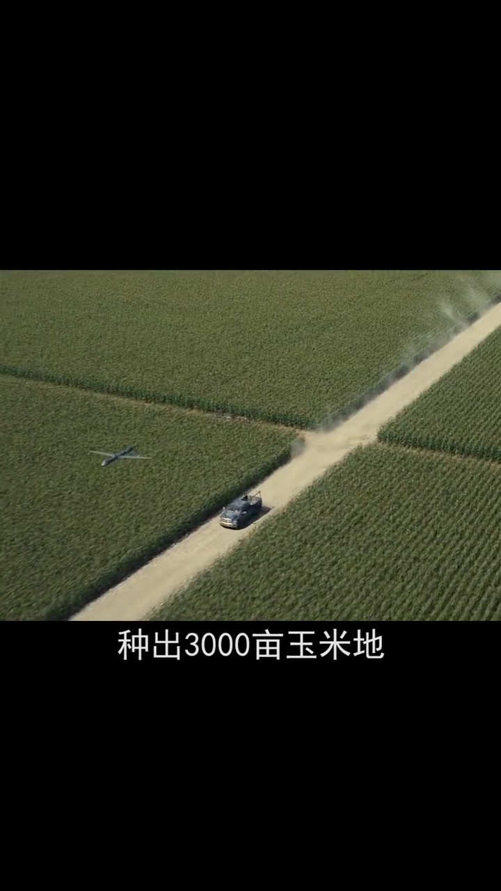 星际穿越冷知识诺兰为拍摄星际穿越花半年时间种出3000亩玉米地中