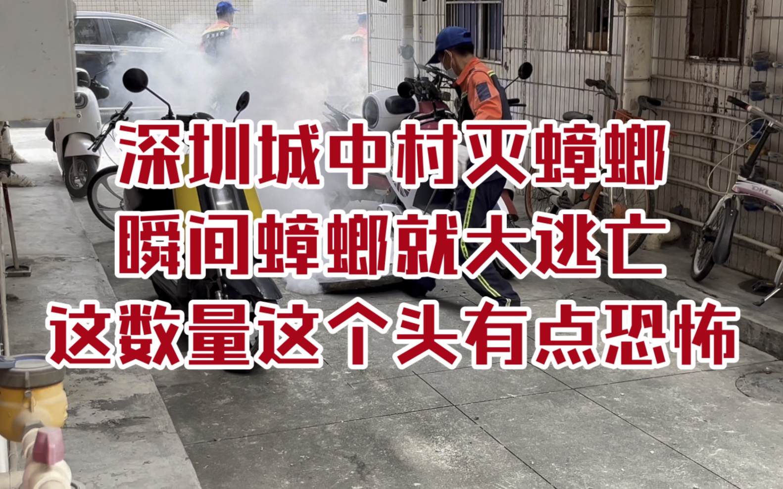 深圳城中村灭蟑螂,瞬间蟑螂就大逃亡,这恐怖场景北方人请回避哔哩哔哩bilibili