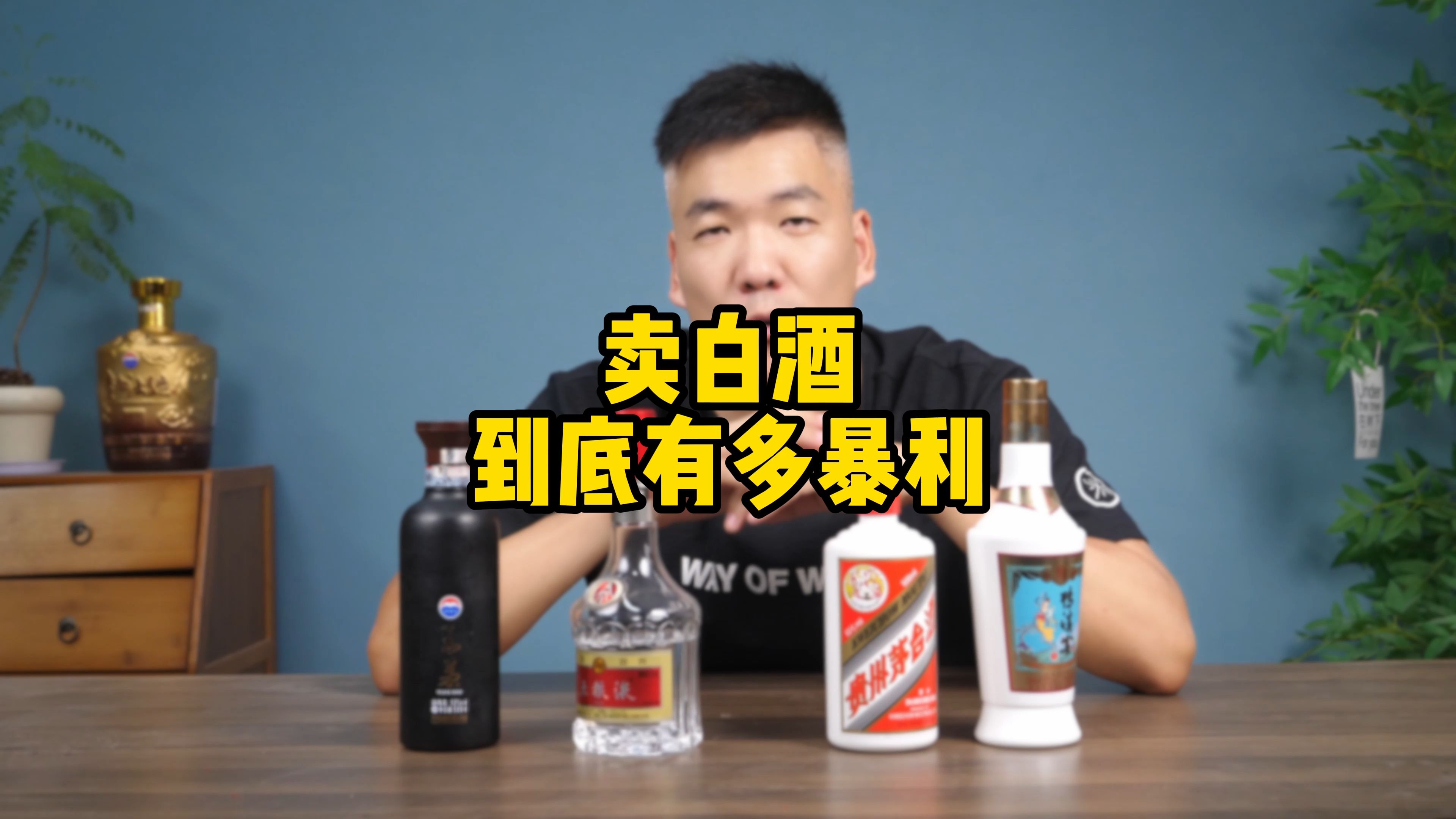 白酒行业有多暴利?烟酒店到底赚不赚钱?哔哩哔哩bilibili