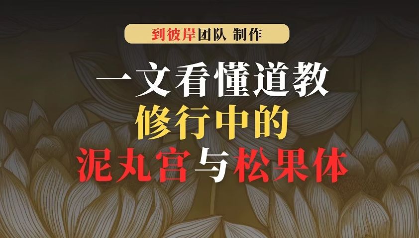 一文看懂道教修行中的泥丸宫!哔哩哔哩bilibili