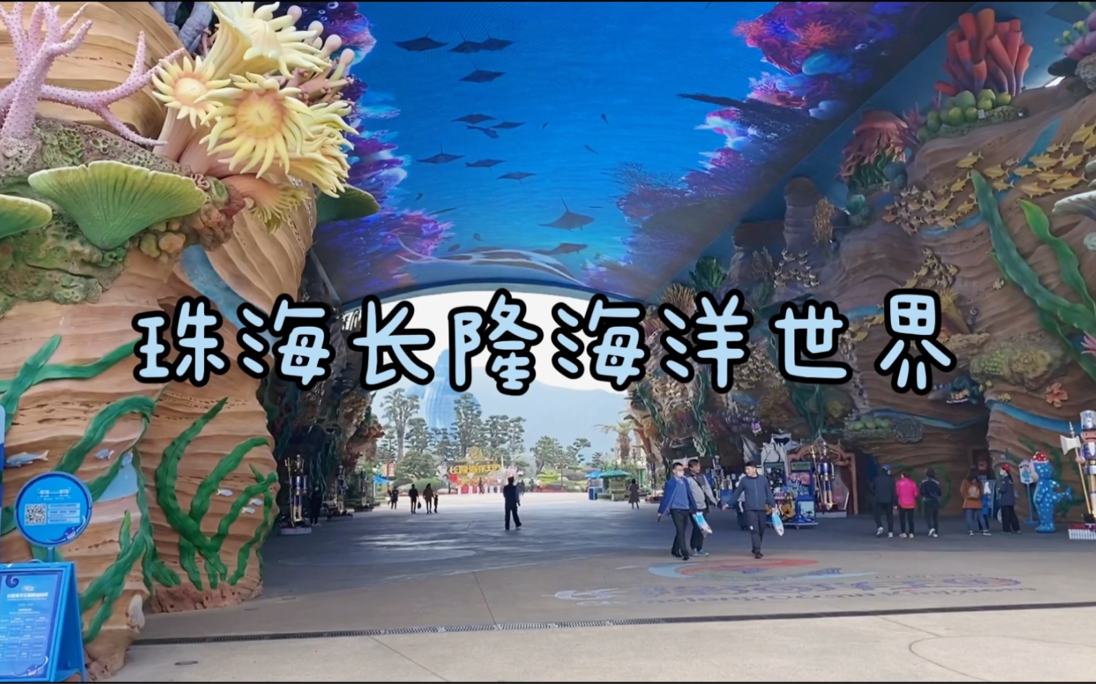 简短版珠海长隆海洋世界一日游哔哩哔哩bilibili