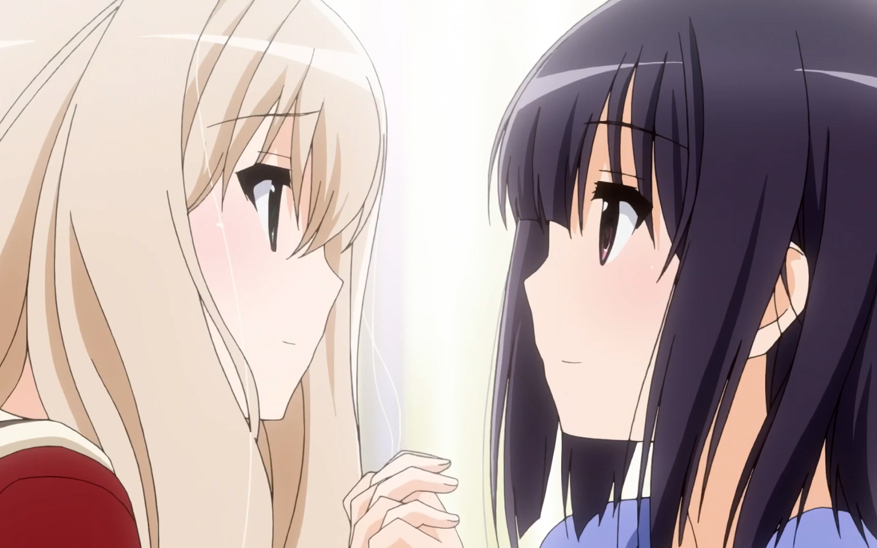 【橘味系列】那些经典橘番!赶紧上车!