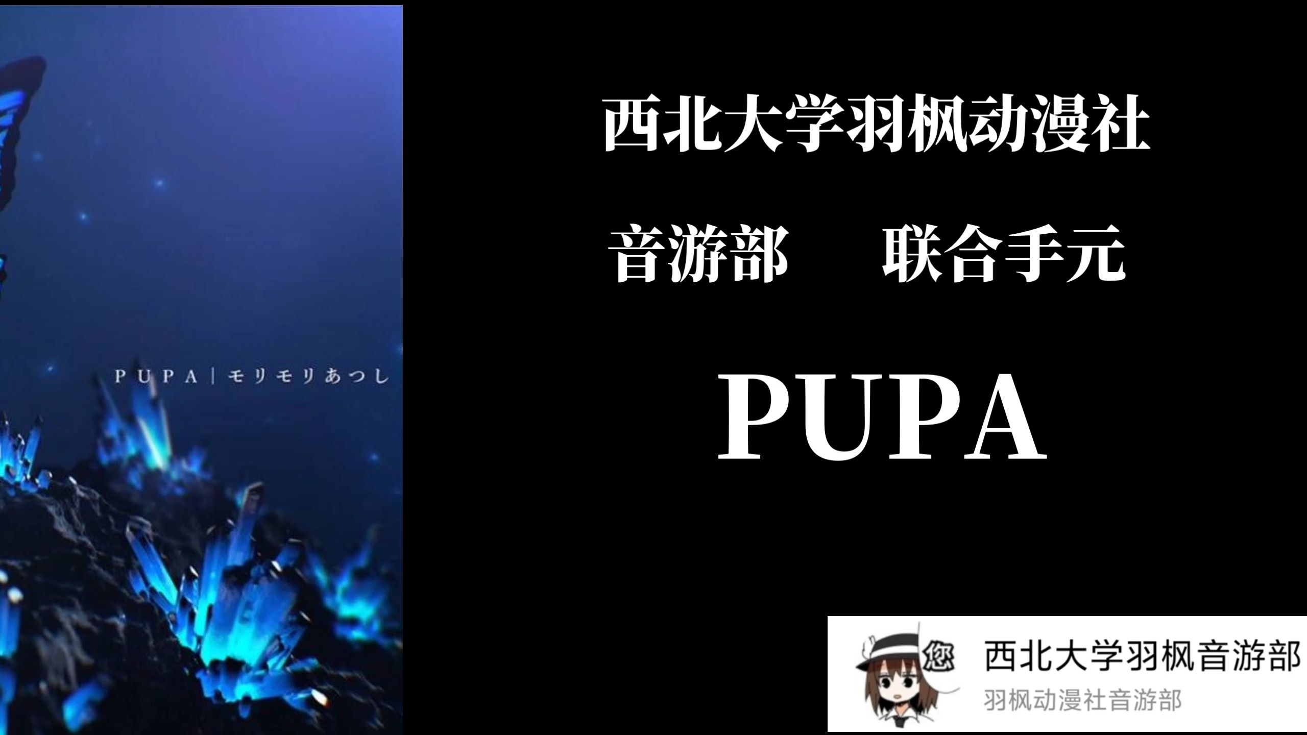 【西北大学羽枫动漫社|联合手元】PUPA——以羽展翅,随枫化蝶哔哩哔哩bilibili