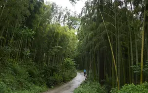 Télécharger la video: 莫干山-大竹海（Canon5D/28-105）