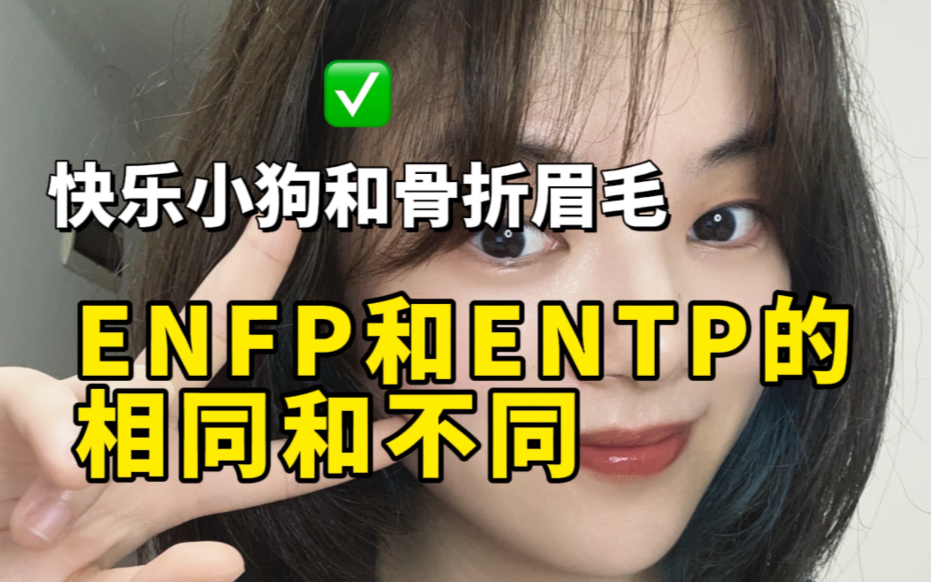 【MBTI】ENFP和ENTP有什么相同和不同?快乐小狗和骨折眉毛居然差别这么大!哔哩哔哩bilibili