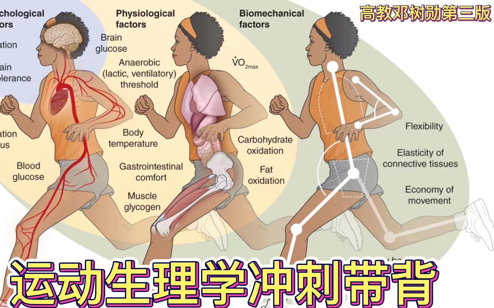 [图]【运动生理学冲刺带背】第九章：运动与排泄（内含学校体育学冲刺背诵方法建议）