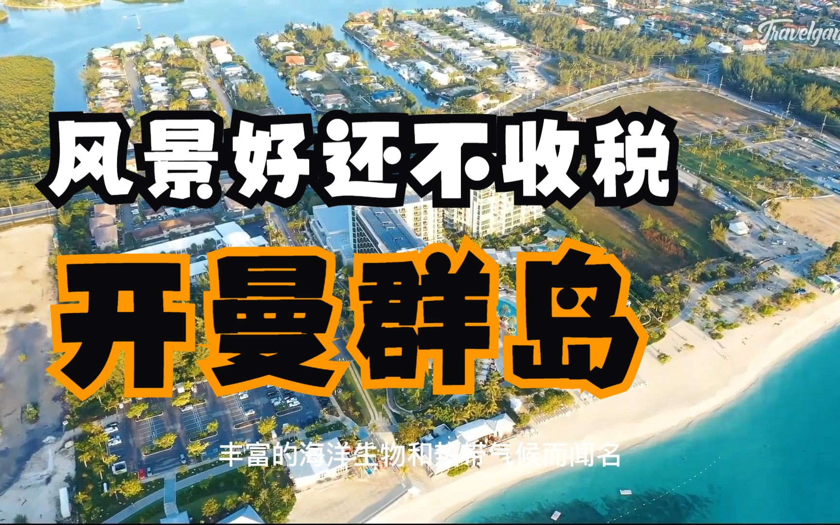 【蓝星知识局】加勒比海上的避税天堂——开曼群岛哔哩哔哩bilibili