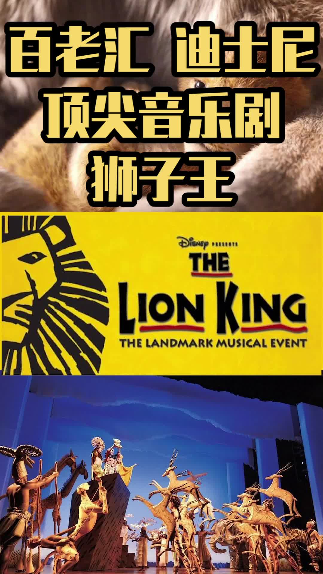 人生第一次看《狮子王》竟然是百老汇的音乐剧!