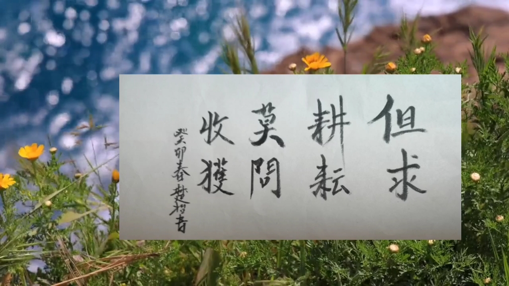 但求耕耘,莫问收获.