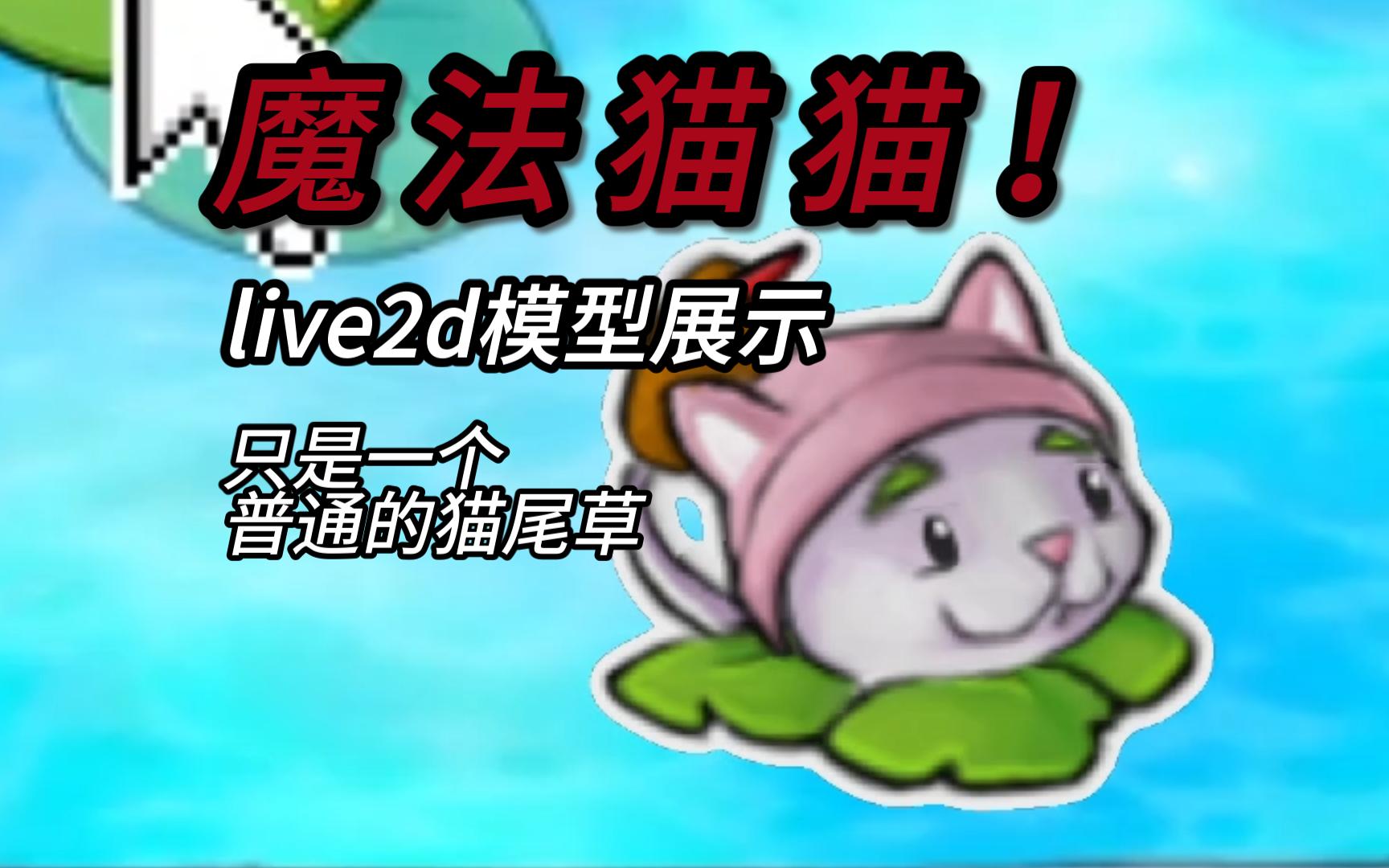 [图]【免费live2D分享】魔 法 猫 猫 ！（全站首发 植物大战僵尸猫尾草/菖蒲模型展示）