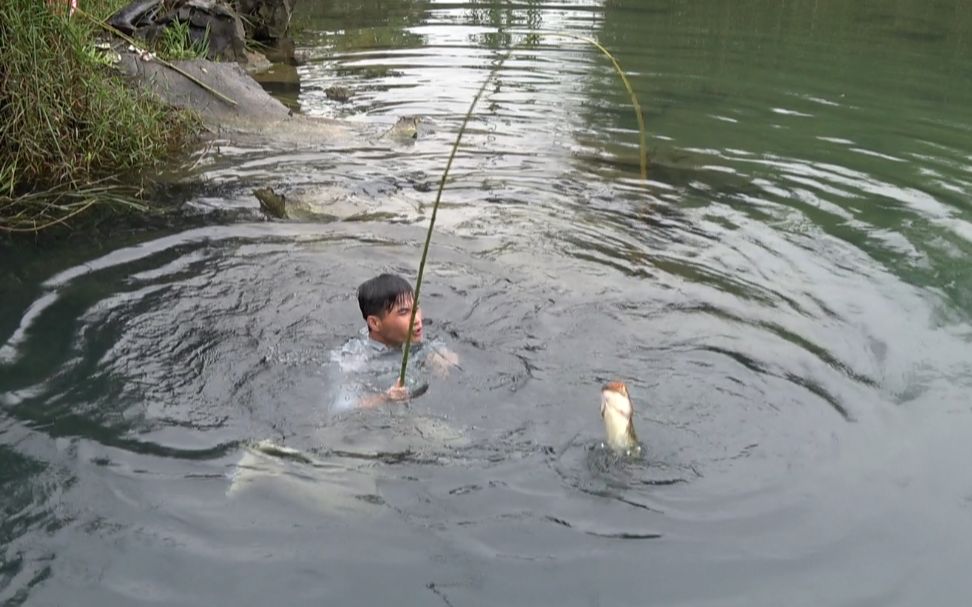 鱼竿被拉下暗流洞穴,小莫第二天潜水捞鱼竿,提起来一看大鱼