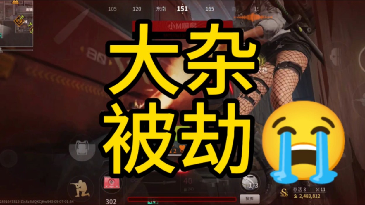 大杂被劫哔哩哔哩bilibili