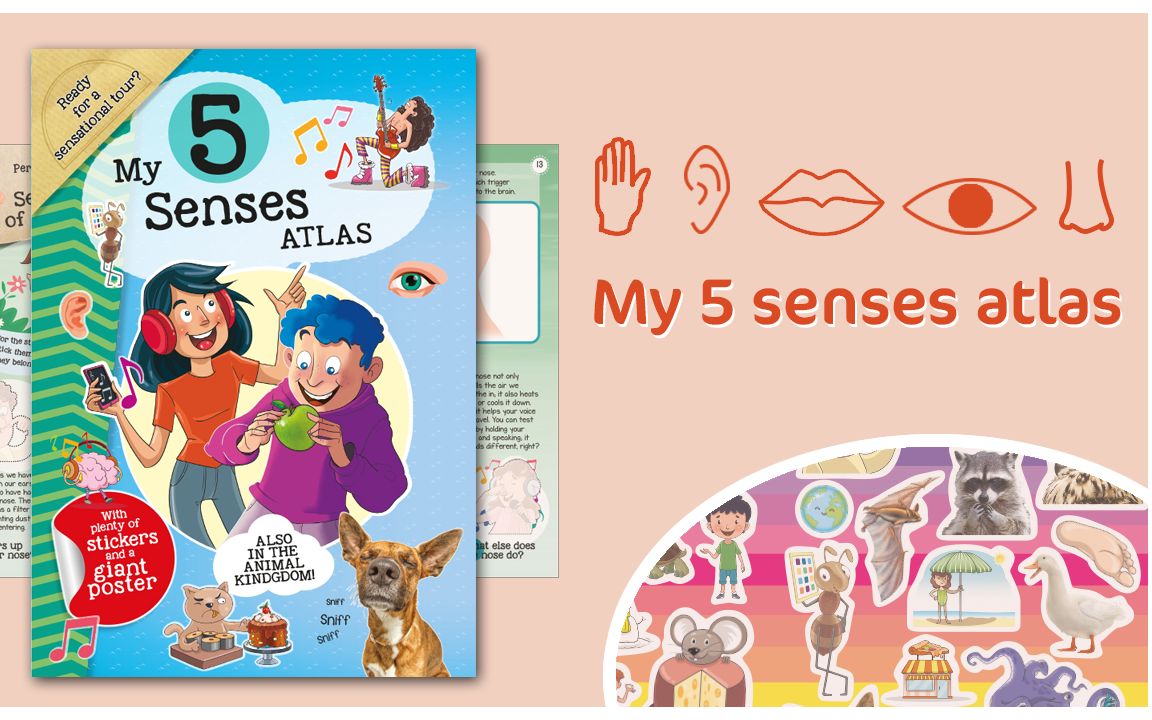 my 5 senses atlas (s0232) - caramel publishing_哔哩哔哩 (゜-゜)