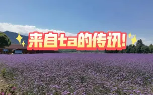 Download Video: 来自ta的传讯!  这个人充满了罪恶感!而真正的爱 是前行路上的勇气……(不限时空 感情向)