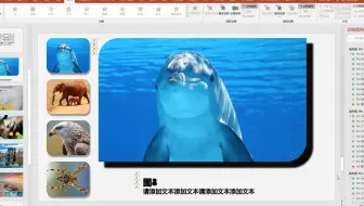 黑鸣PPT触发动画11个