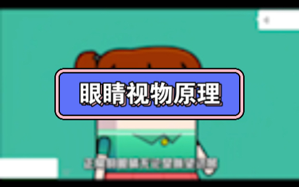 眼睛视物原理哔哩哔哩bilibili